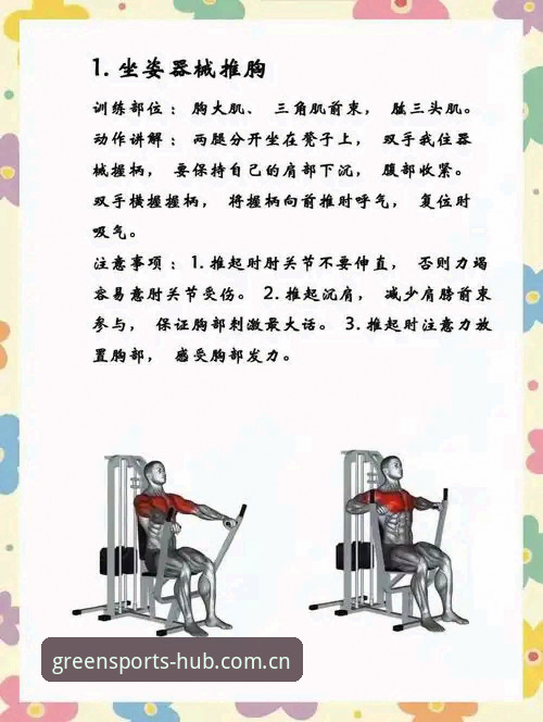 绿茵体育健身器材深度评测：选购与使用完整指南